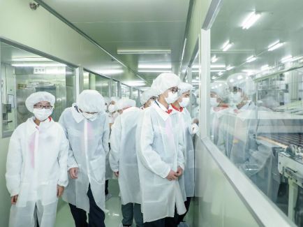 3118云顶集团·(中国)股份有限公司