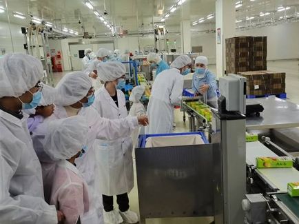 3118云顶集团·(中国)股份有限公司