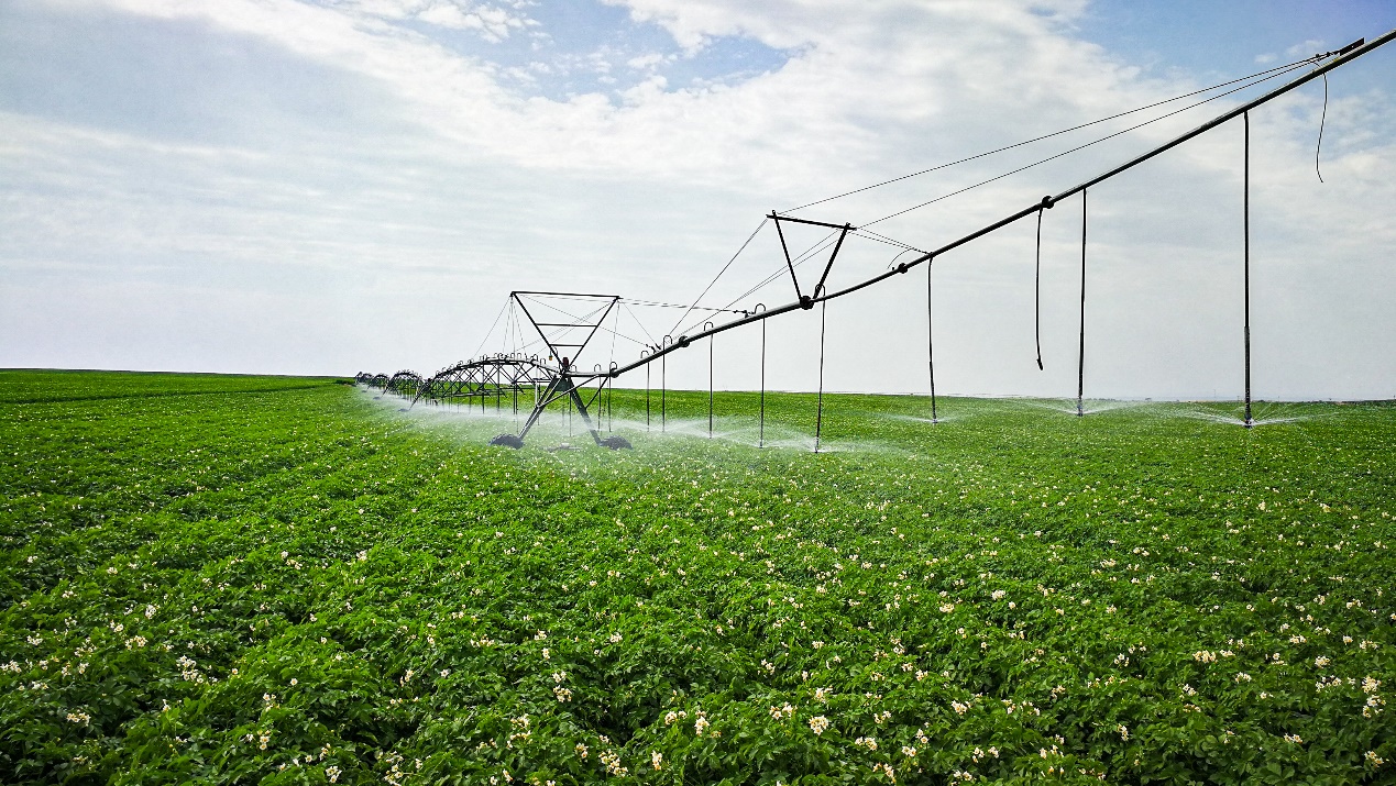 3118云顶集团·(中国)股份有限公司